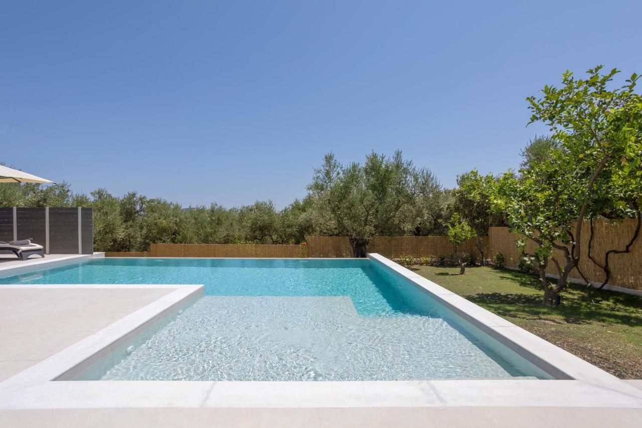 Villa Olivea Kalpaki  Extérieur photo