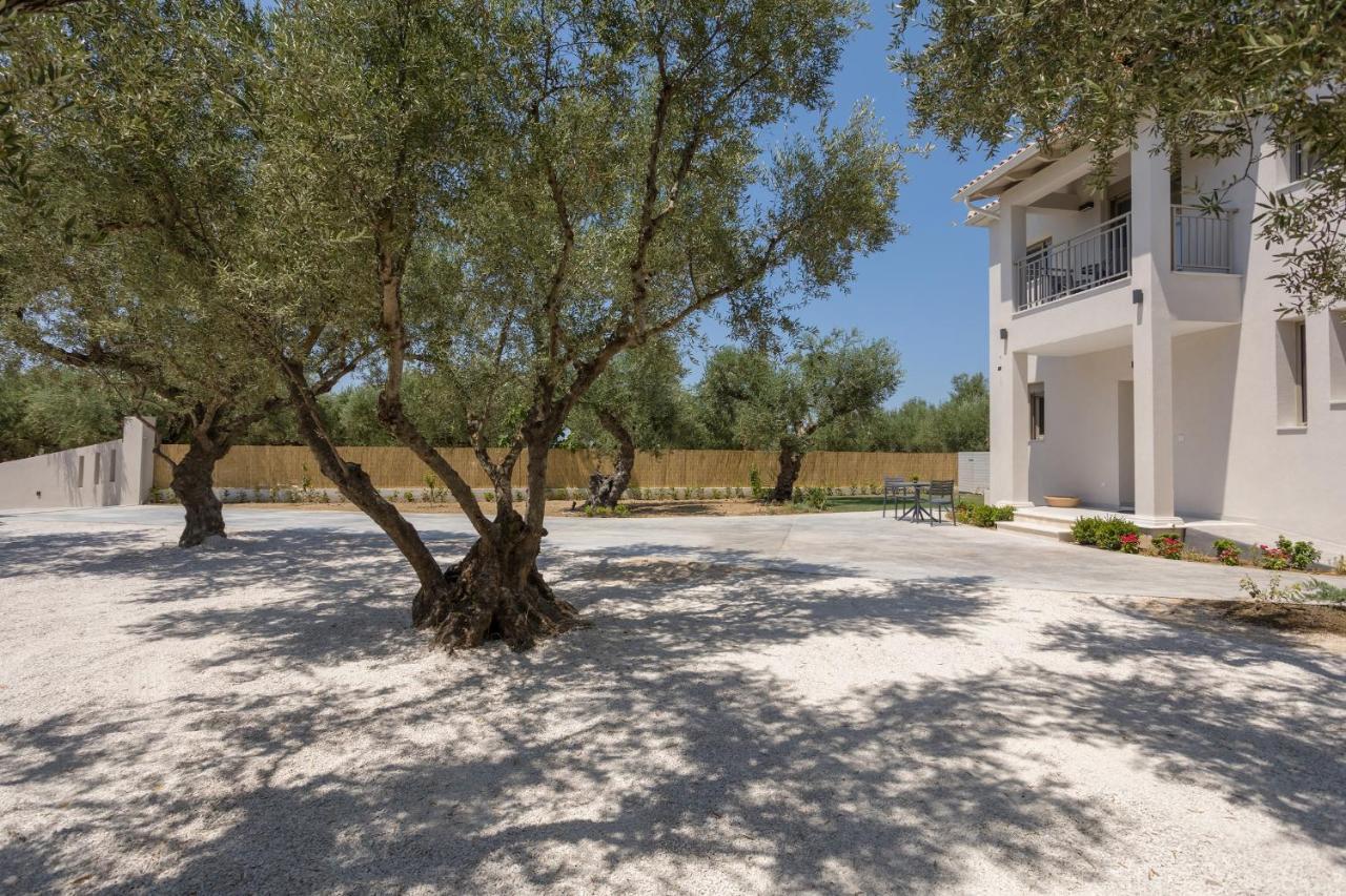 Villa Olivea Kalpaki  Extérieur photo