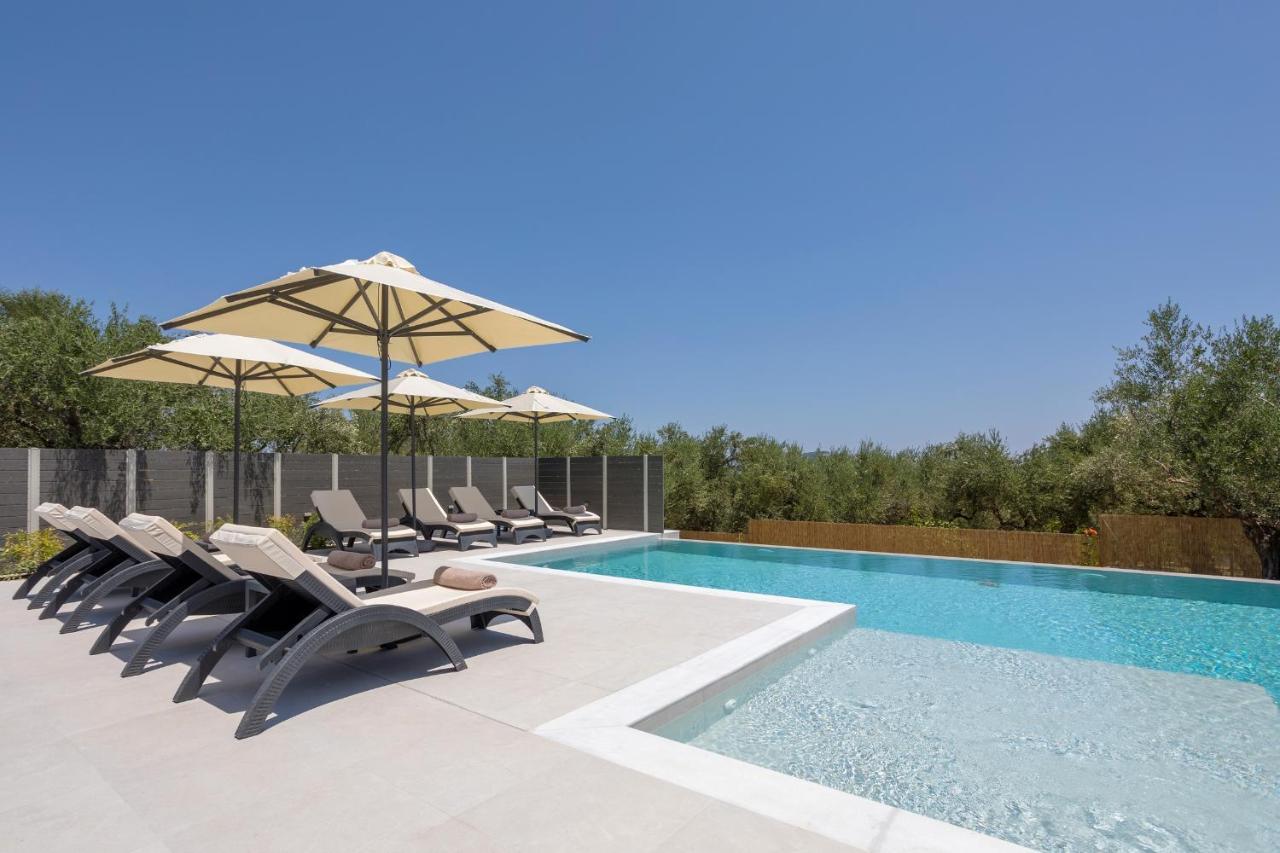Villa Olivea Kalpaki  Extérieur photo