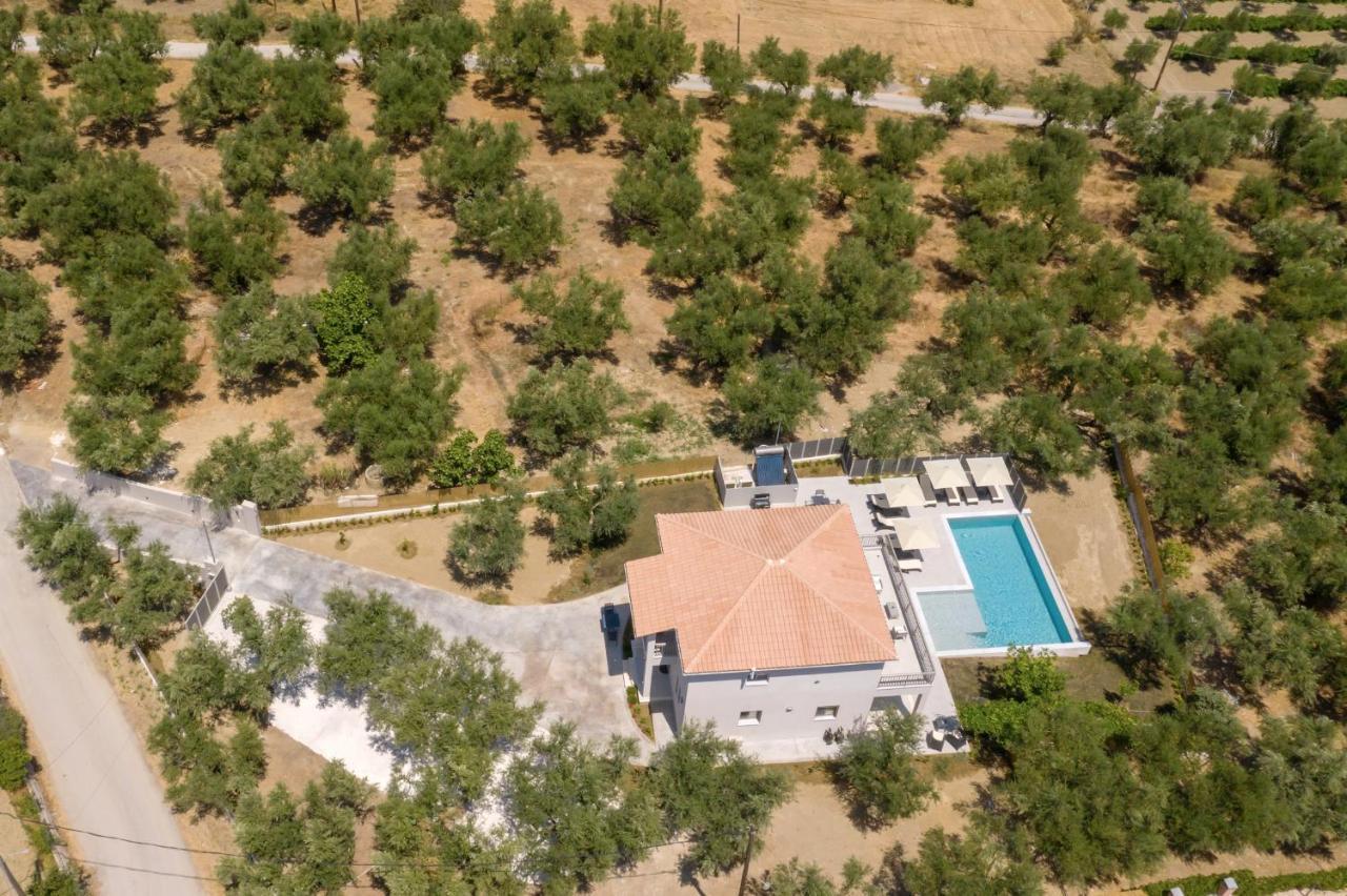 Villa Olivea Kalpaki  Extérieur photo